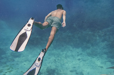 Snorkelling in Maldives